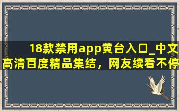 18款禁用app黄台入口_中文高清百度精品集结，网友续看不停！