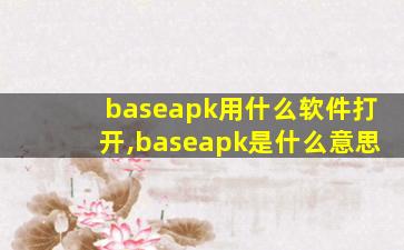 baseapk用什么软件打开,baseapk是什么意思