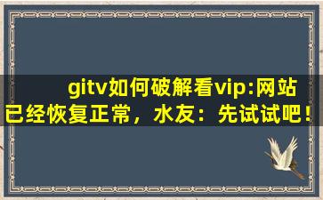 gitv如何破解看vip:网站已经恢复正常，水友：先试试吧！
