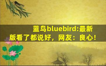 蓝鸟bluebird:最新版看了都说好，网友：良心！